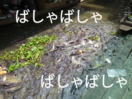 タイ120918〜 237