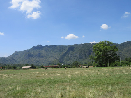 IMG_6502.jpg