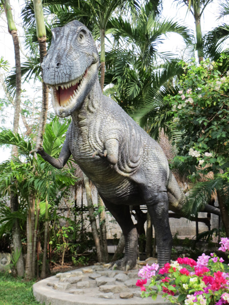 phuket140106 293