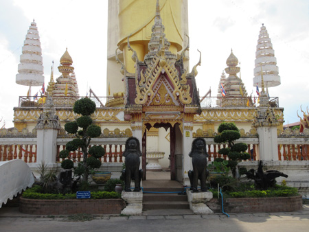 IMG_5845.jpg