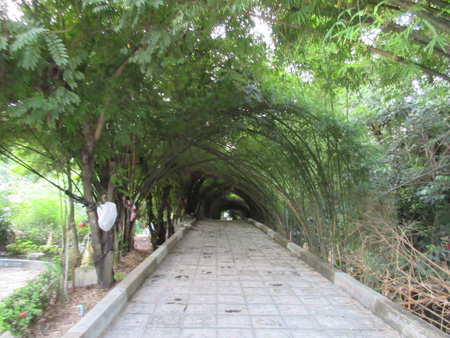 IMG_7662.jpg