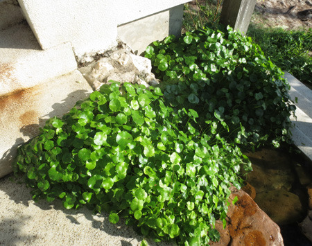 タイ121120〜 140.jpg