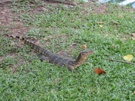 IMG_0284.jpg