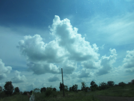 IMG_0342.jpg
