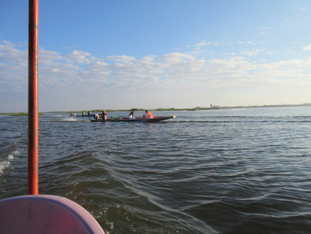 IMG_0954.jpg