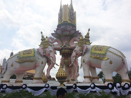 IMG_4820.jpg