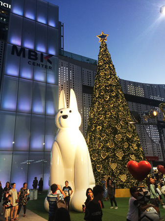 IMG_5439.jpg