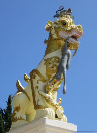 IMG_7491.jpg