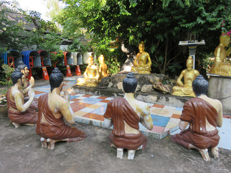 IMG_8004.jpg