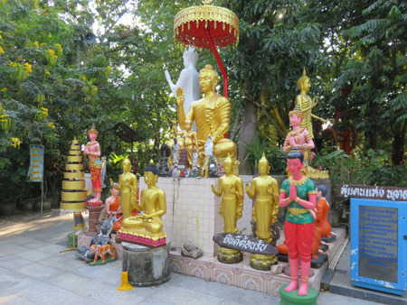 IMG_8009.jpg