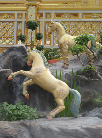 IMG_8665.jpg