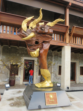 IMG_8923.jpg