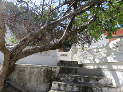 IMG_0024.jpg