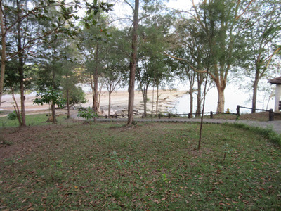 IMG_0310.jpg