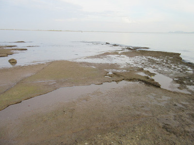 IMG_0321.jpg