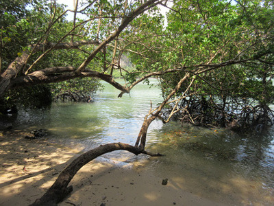 IMG_0540.jpg