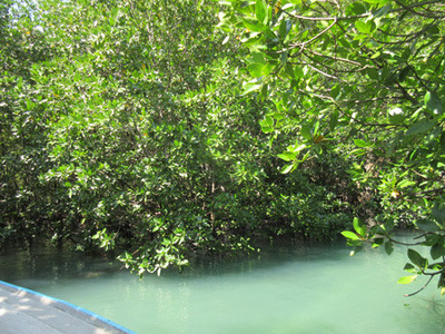 IMG_0658.jpg