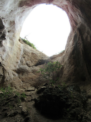 IMG_0751.jpg