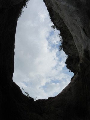 IMG_0754.jpg
