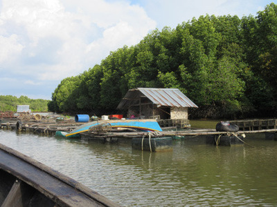 IMG_0780.jpg
