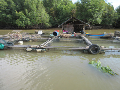IMG_0781.jpg