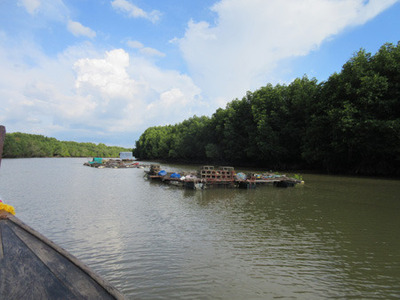 IMG_0782.jpg