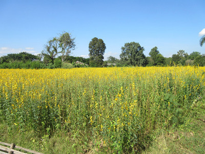 IMG_0875.jpg