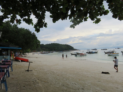 IMG_1040.jpg