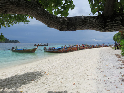 IMG_1050.jpg