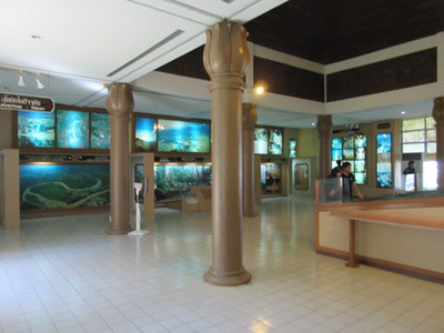 IMG_1066.jpg