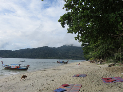 IMG_1069.jpg