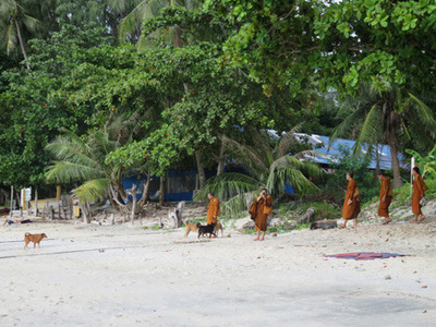 IMG_1072.jpg