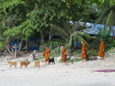 IMG_1073.jpg