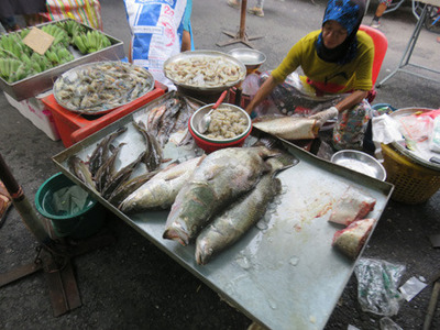 IMG_1148.jpg