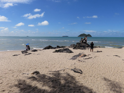 IMG_1181.jpg