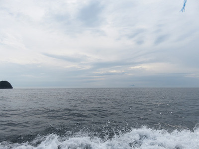 IMG_1219.jpg