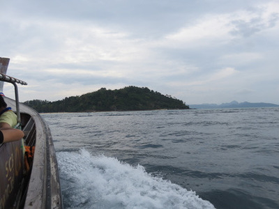 IMG_1221.jpg