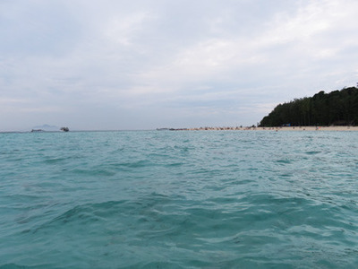 IMG_1223.jpg