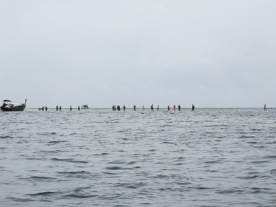 IMG_1246.jpg