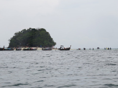 IMG_1247.jpg