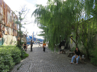 IMG_1272.jpg