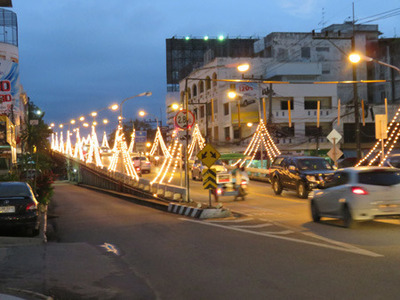 IMG_1324.jpg