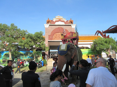 IMG_1339.jpg