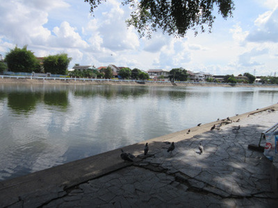 IMG_1460.jpg