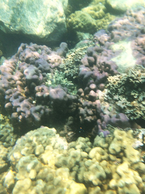 IMG_1820.jpg
