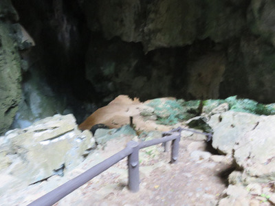 IMG_2091.jpg
