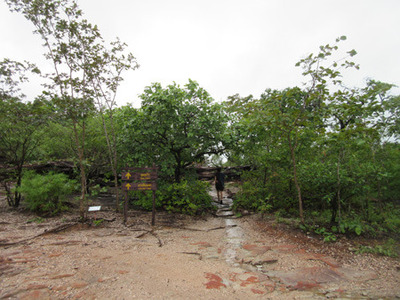 IMG_3323.jpg