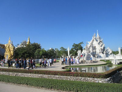 IMG_4336.jpg