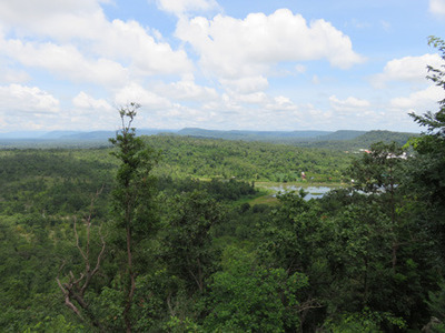 IMG_4349.jpg