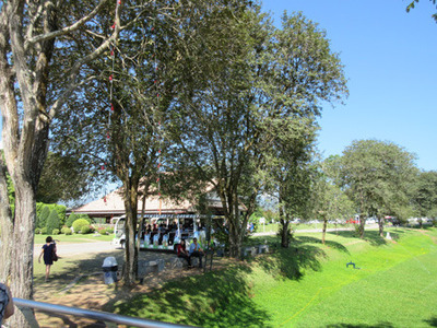 IMG_4413.jpg
